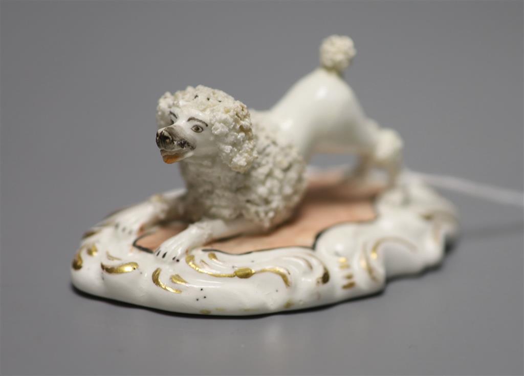 A Staffordshire porcelain poodle with upraised hind legs, c.1840, width 9cm